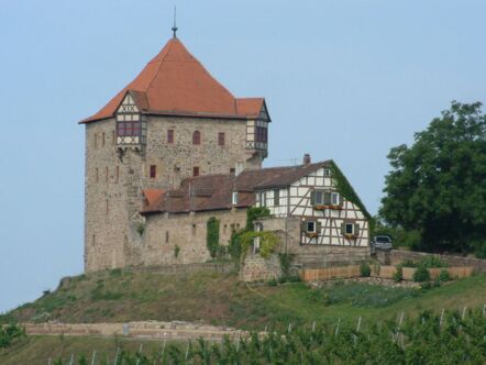 Burg, Weinberge, Historische Sehenswürdigkeit, Fachwerkhaus